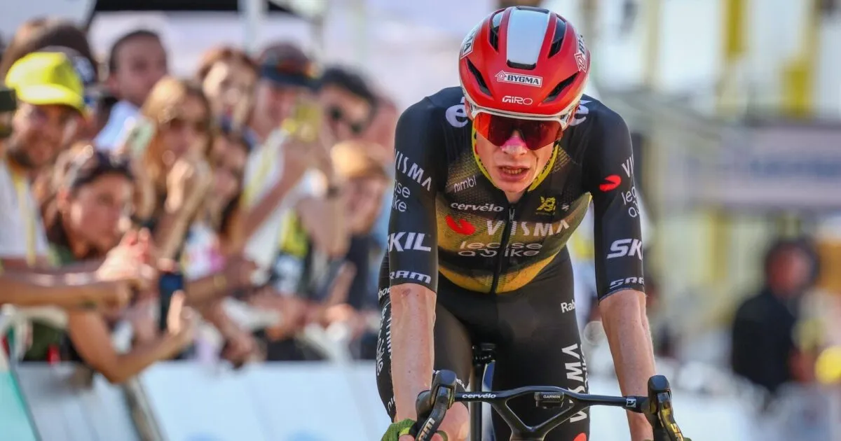Vingegaard kedua di Hautacam pada etape kedua belas Tour de France